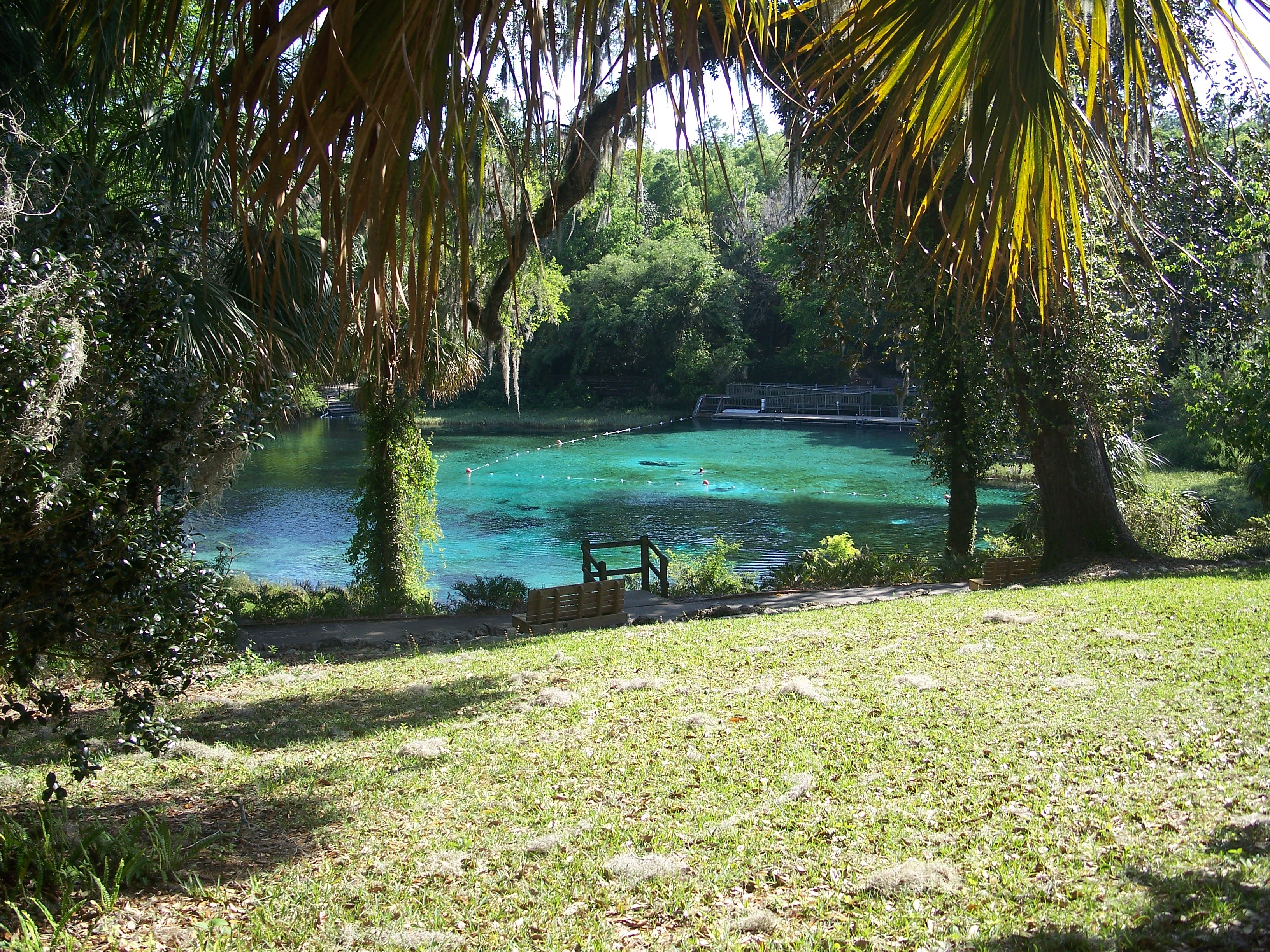 Fishing in Dunnellon, Florida - Discover Dunnellon